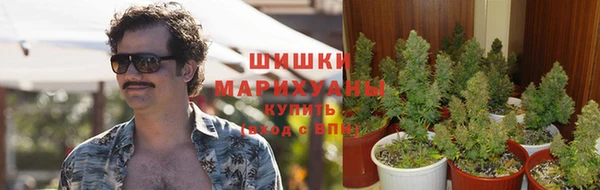 тгк Богородск