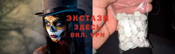 спиды Богородицк