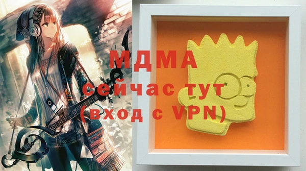 спиды Богородицк
