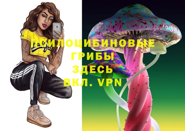 тгк Богородск
