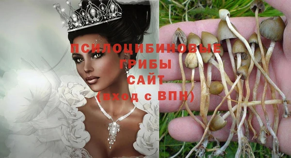 прущая мука Бронницы