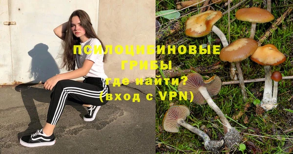 спиды Богородицк