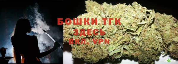 спиды Богородицк