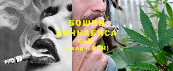 спиды Богородицк