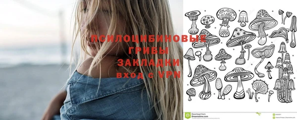 тгк Богородск