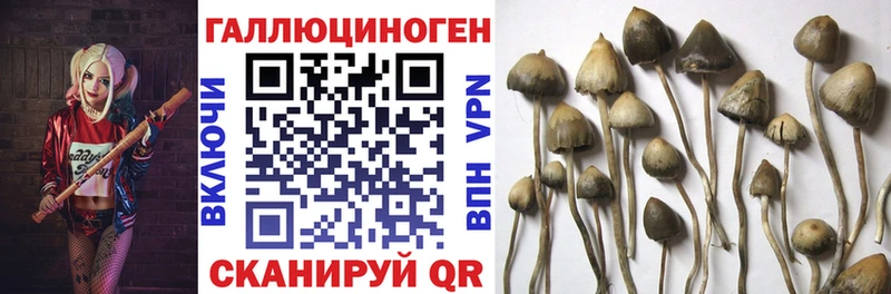 Галлюциногенные грибы прущие грибы ссылка на мегу вход Бородино