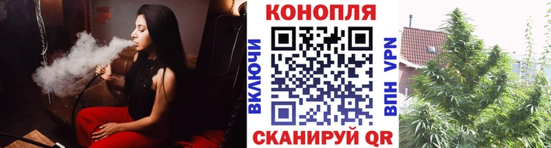 как найти   Бородино  МАРИХУАНА MAZAR 